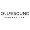 bluesound professional