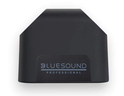 Bluesound Professional BSP125, BluOS speaker, streaming speaker, commercial audio, network speaker, wall mount speaker, Hi-Res audio, multiroom audio, SoundMachine