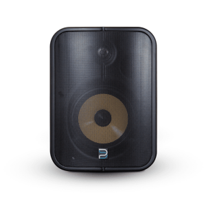 Стрйминг Тонколона Bluesound Professional BSP1000 за външен монтаж на изгодна цена от AudioArte. Позвънете на 029641115 за поръчка