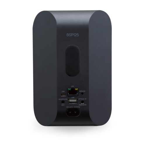 Bluesound Professional BSP125, BluOS speaker, streaming speaker, commercial audio, network speaker, wall mount speaker, Hi-Res audio, multiroom audio, SoundMachine