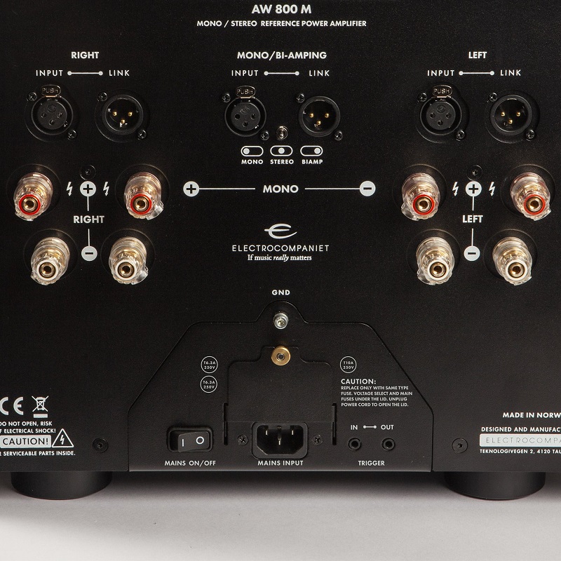 ELECTROCOMPANIET AW 800 M Reference – вътрешна архитектура с кондензатори и охлаждане